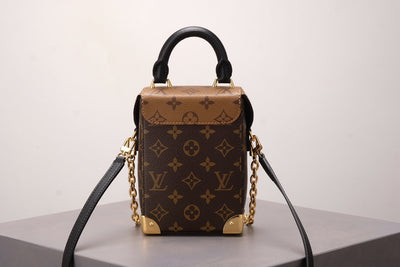 Brown Monogram Camera Box Bag