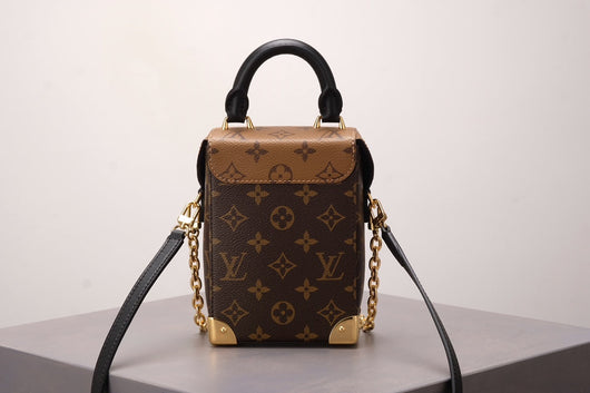 Brown Monogram Camera Box Bag