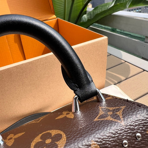 Brown Monogram Camera Box Bag