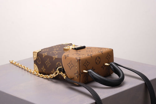 Brown Monogram Camera Box Bag