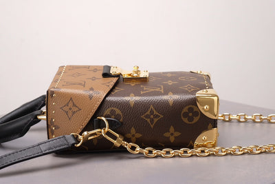 Brown Monogram Camera Box Bag
