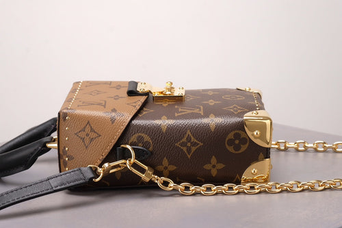 Brown Monogram Camera Box Bag