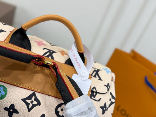 LV Multicolor Backpack